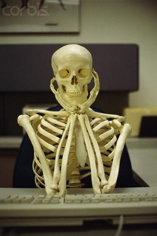 Waiting Skeleton Meme Funny Image Photo Joke 15
