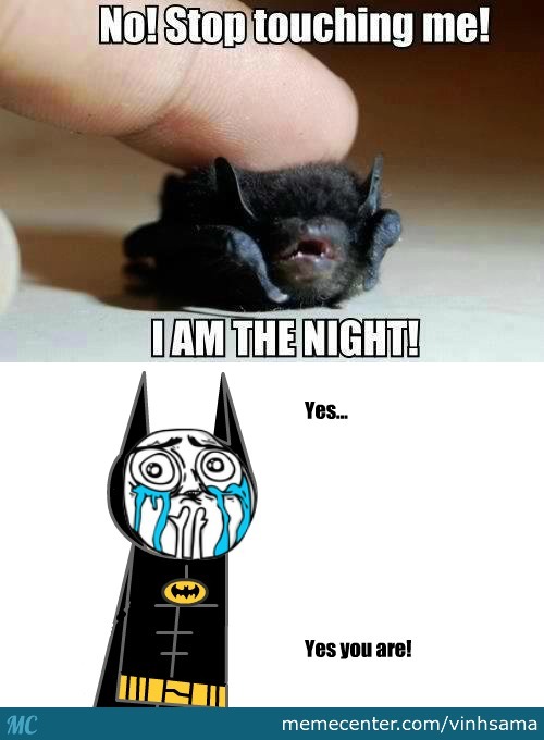 I'M Batman Meme Funny Image Photo Joke 03