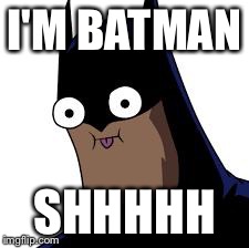 I'M Batman Meme Funny Image Photo Joke 12