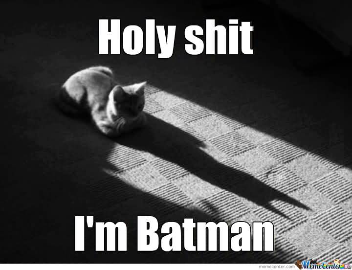 I'M Batman Meme Funny Image Photo Joke 15