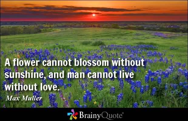 Quotes On Flowers And Love 11
