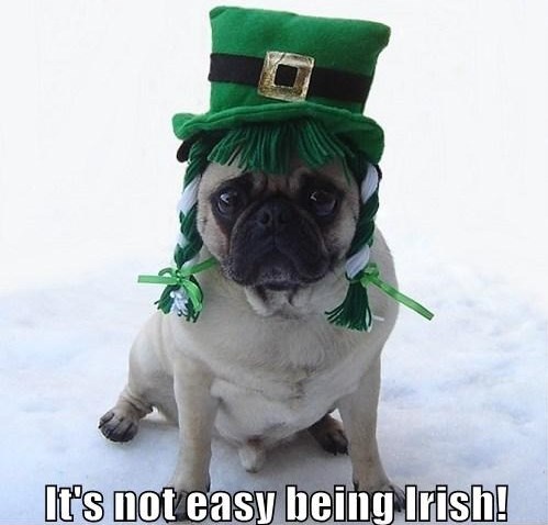 St. Patrick's Day Meme 29