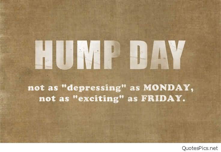hump day quotes 05