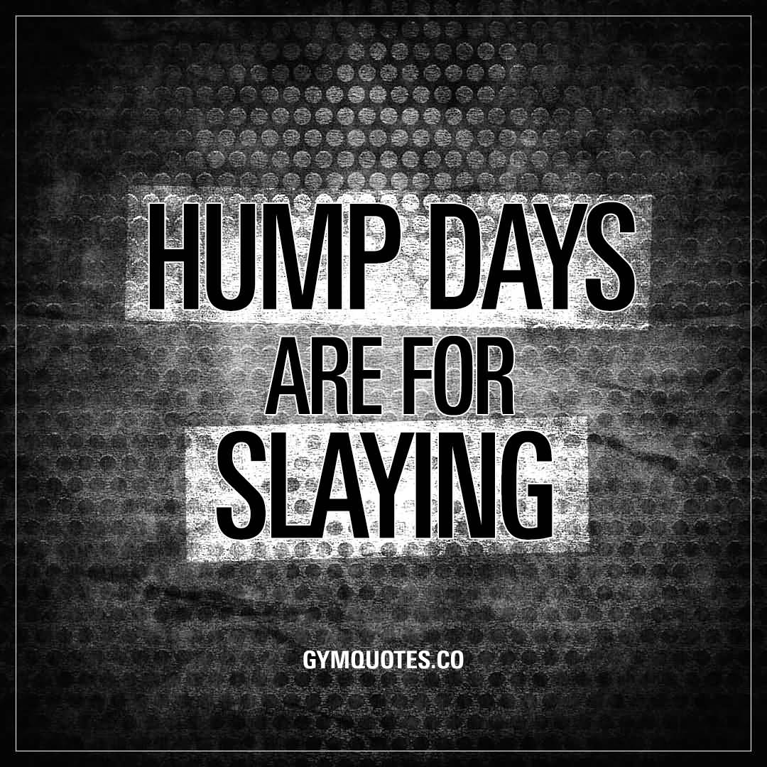 hump day quotes 11