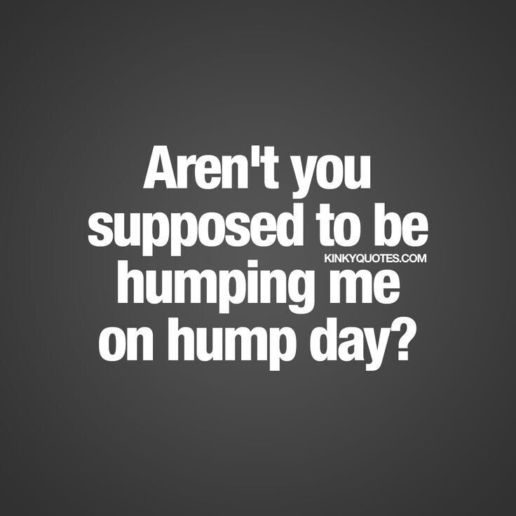 Hump Day Quotes 13 Quotesbae