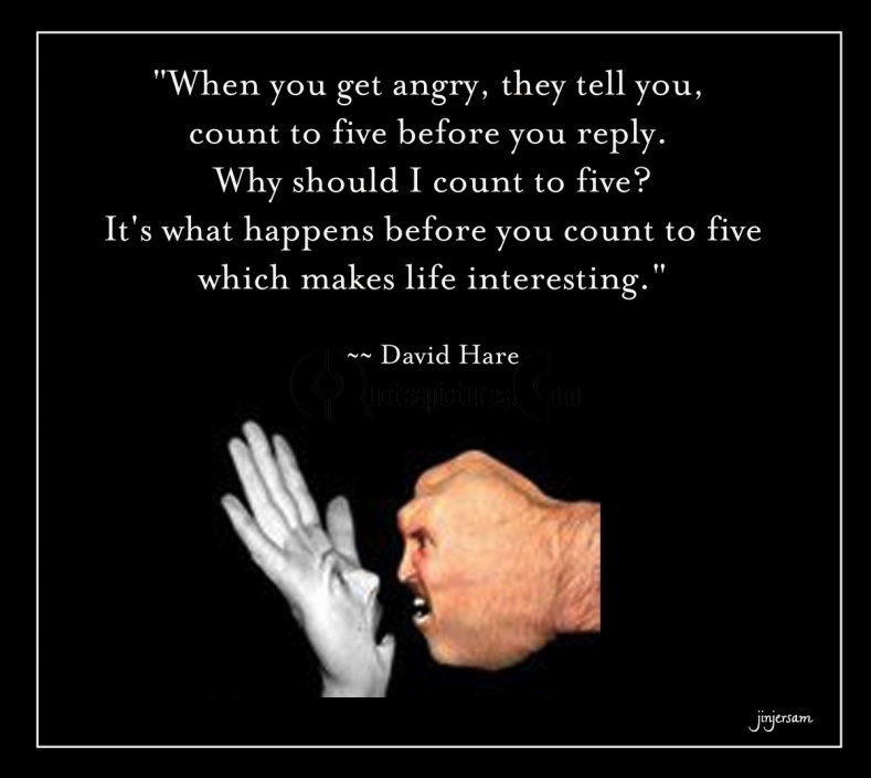 Funny Quotes About Anger And Frustration Image 03