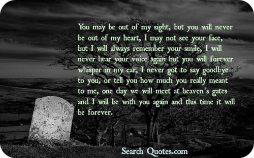 I Will Never Forget You Quotes Death Picture 03