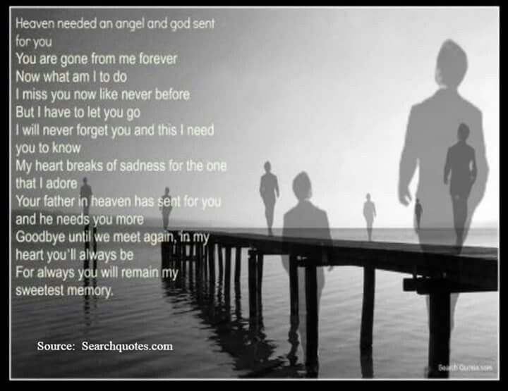 I Will Never Forget You Quotes Death Picture 06