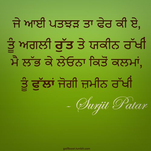 Quotes Written In Punjabi Image 20