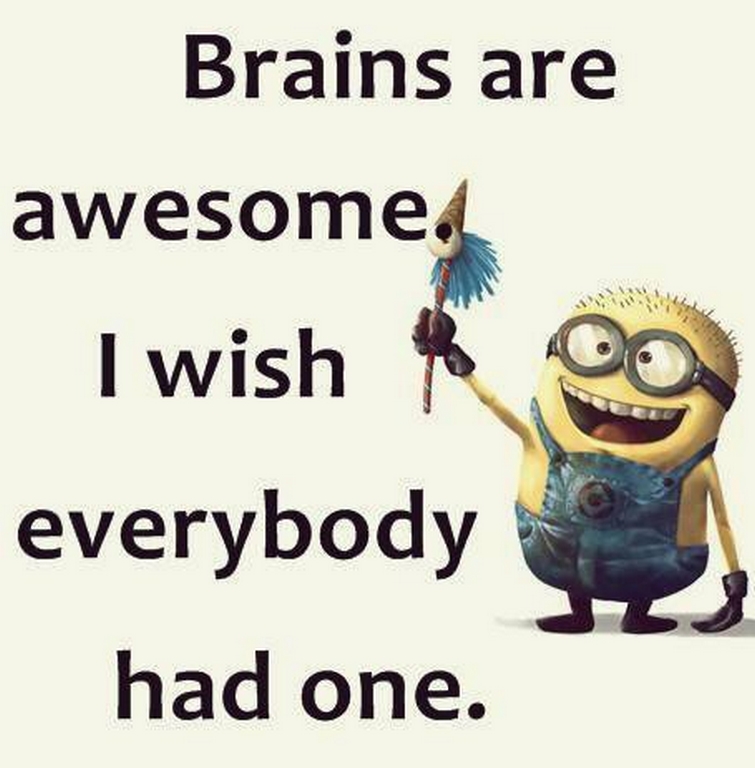Brains Are Awesome I Wish