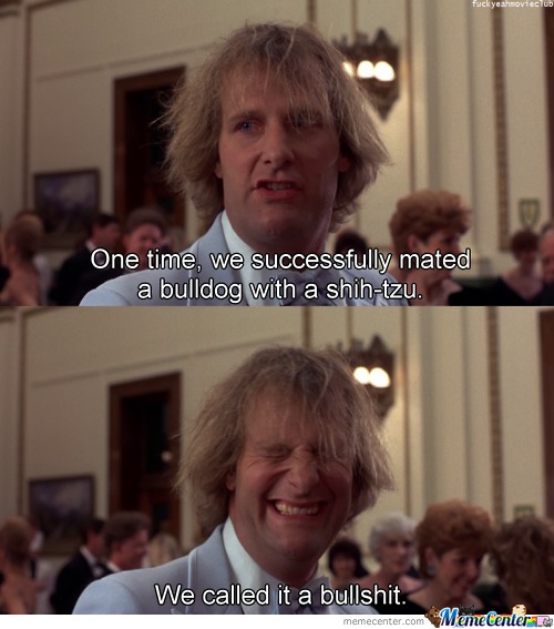 One Time Dumb and Dumber Meme