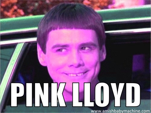 Pink Lloyd Dumb and Dumber Meme