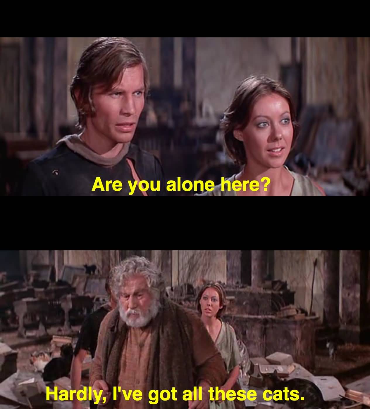Are You Alone Here