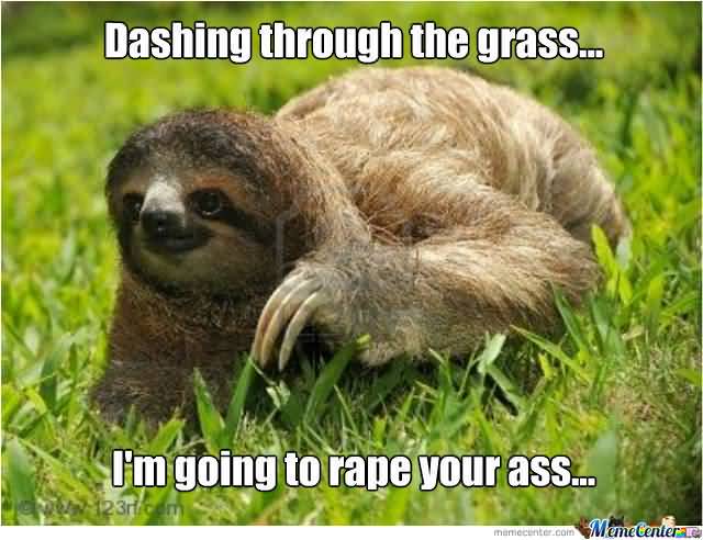 Dashing through the grass i'm going to rape your ass Funny Sloth Rape Memes Images