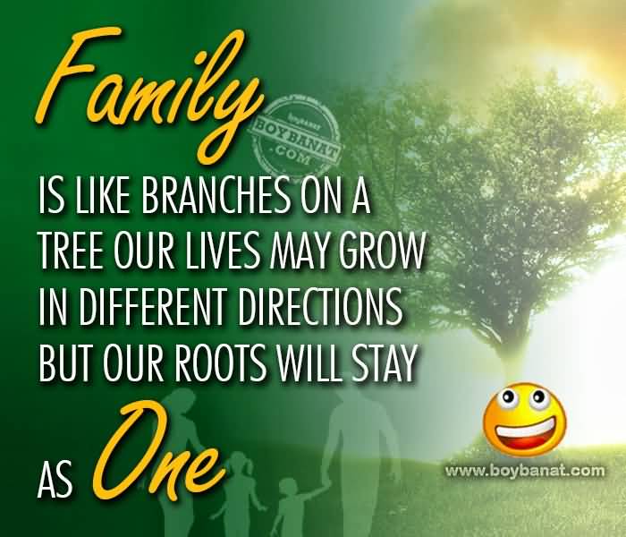 Family Is Like Branches