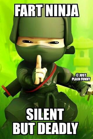Fart Ninja Silent But Deadly Funny Ninja Memes Graphic