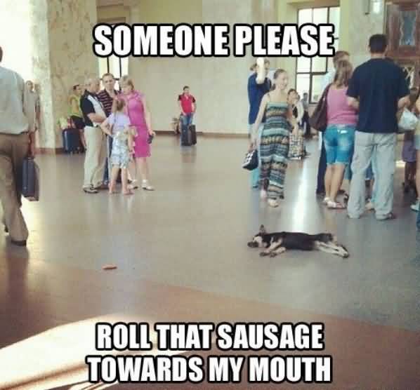 Funny Lazy Memes Someone Please Roll That Sausage