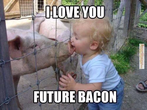 Funny Love Memes I love you future bacon