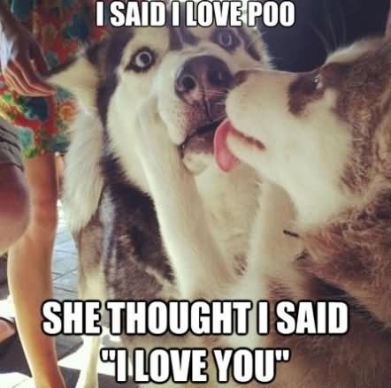 Funny Love Memes I said i love poo she thought i said i love you
