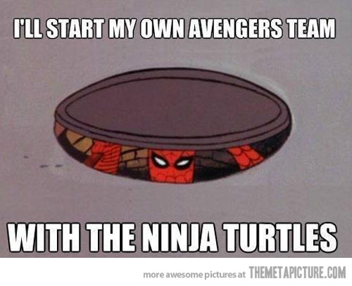 Funny Ninja Memes Ill Start My Own Avengers Team With The Ninja  Picture