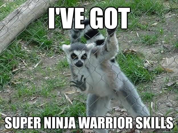 Funny Ninja Memes Ive Got Super Ninja Warrior Skills Picture