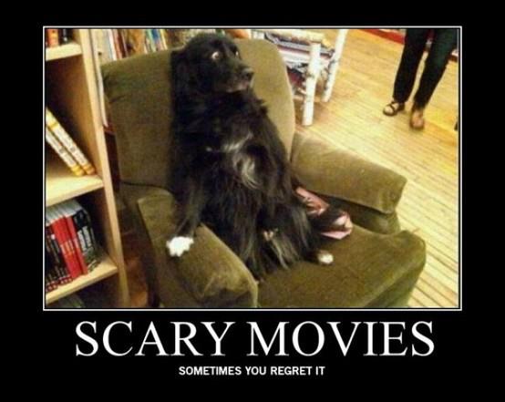 Funny Ninja Memes Scary Movies Sometimes You Regret It Image