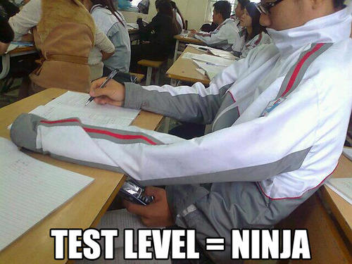 Funny Ninja Memes Test Level Ninja Picture