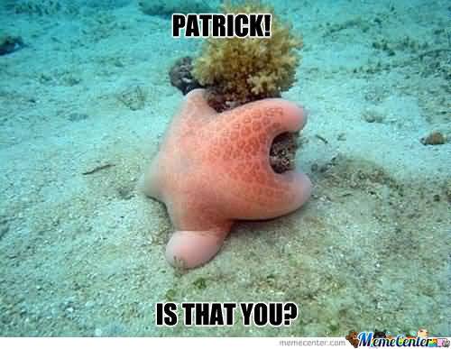 Funny Patrick Meme Patrick is that you (2)