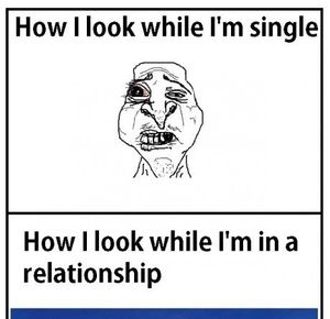 Funny Single Memes How i look while i'm single how i look while i'm in a relationship