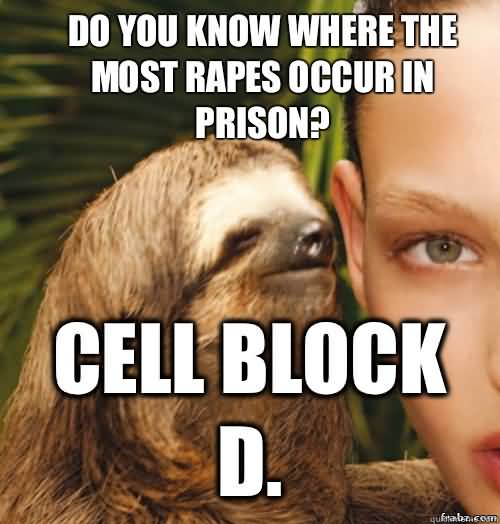 Funny Sloth Rape Memes Do you know where the most rapes occur in prison cell block D Photos