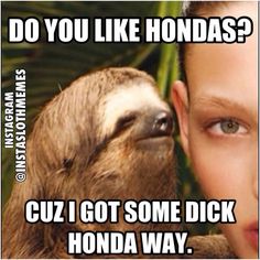 Funny Sloth Rape Memes Do you like hondas cuz i got some dick honda way Photos
