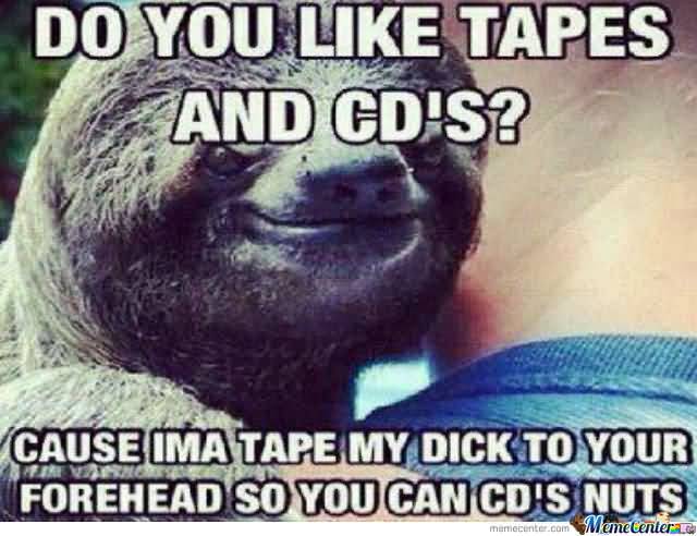 Funny Sloth Rape Memes Do you like tapes and cd's Pictures