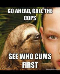 Funny Sloth Rape Memes Go ahead call the cops see who cums first Graphics
