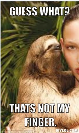 Funny Sloth Rape Memes Guess what thats not my finger Photos