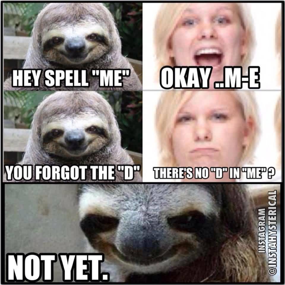 Funny Sloth Rape Memes Hey spell me okay.. M E you forget the D Pictures
