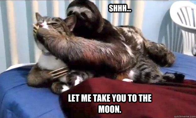 Funny Sloth Rape Memes Shhh.. let me take you to the moon Pictures