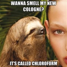 Funny Sloth Rape Memes Wanna smell my new cologne it's called chloroform Pictures