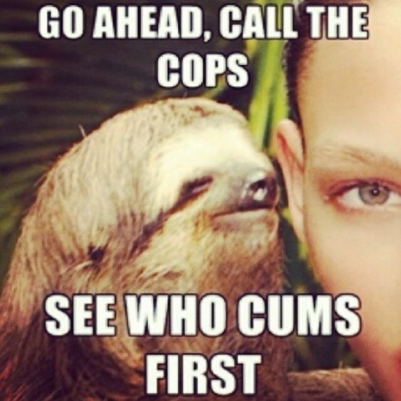 Funny Sloth Wisper Memes Go ahead call the cops see who cums first