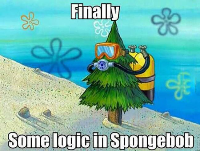 Funny Spongebob Memes Finally some logic in spongebob Pictures