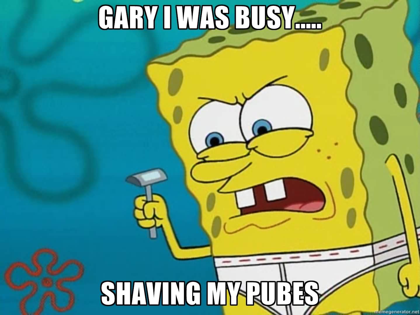 Funny Spongebob Memes Gary i was busy shaving my pubes Pictures