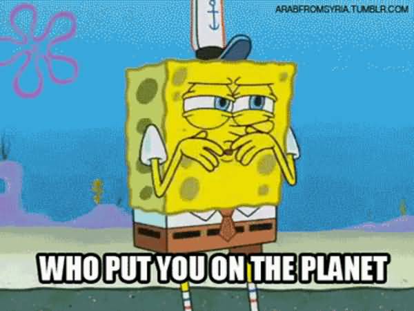 Funny Spongebob Memes Who put you on the planet Images