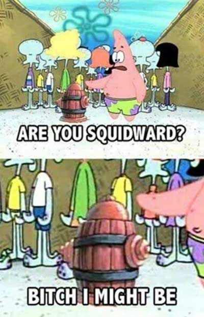 Funny Squidward Memes are you squidward bitch i might be