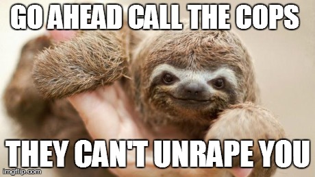 Go ahead call the cops they can't unrape you Funny Sloth Rape Memes Graphics