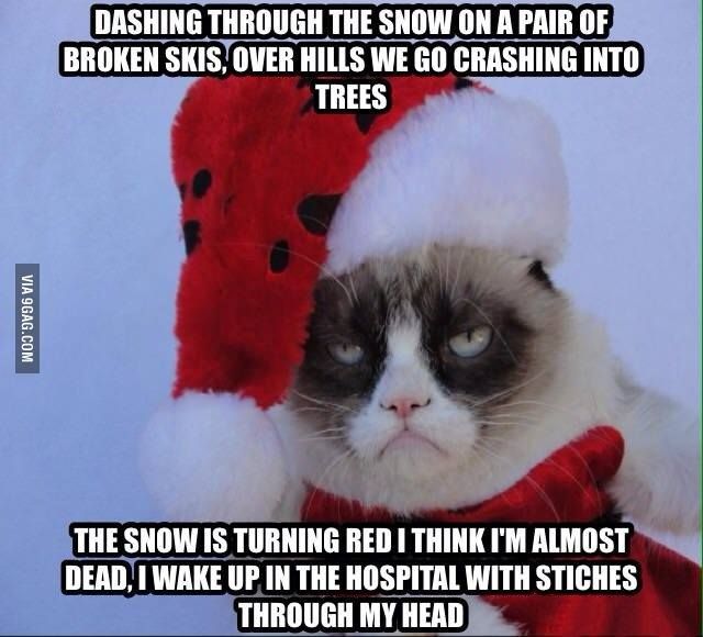 Grumpy Cat Meme Dashing through the snow on a pair of broken skis over hills we go crashing into trees