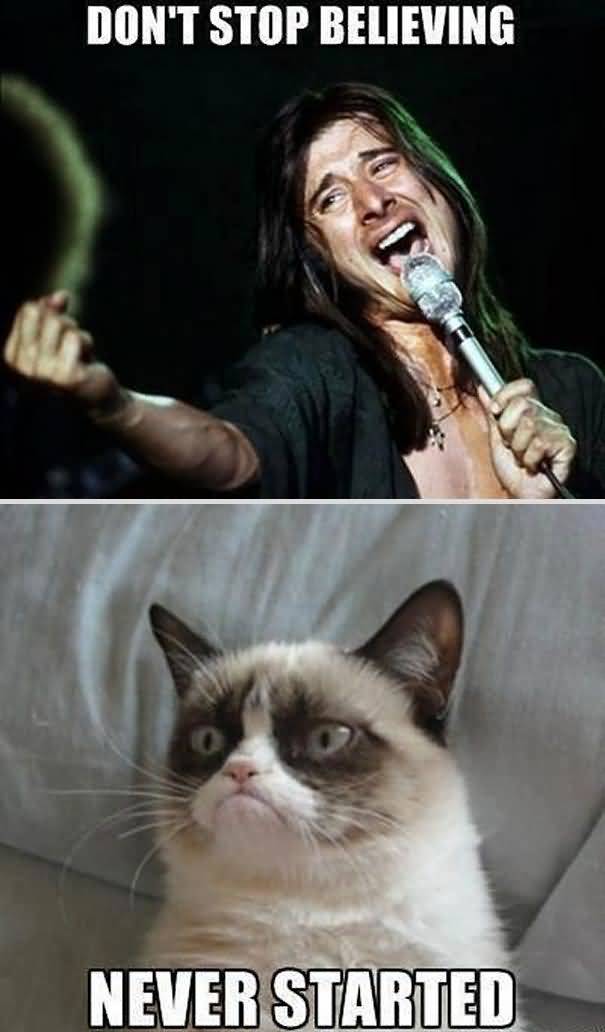 Grumpy Cat Meme Dont stop believing never started