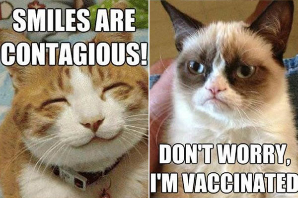 Grumpy Cat Meme Smiles Are Contagious Dont Worry I Am Vaccinated