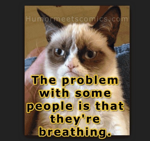 Grumpy Cat Meme The Problem With Some People Is That They Are Breathing