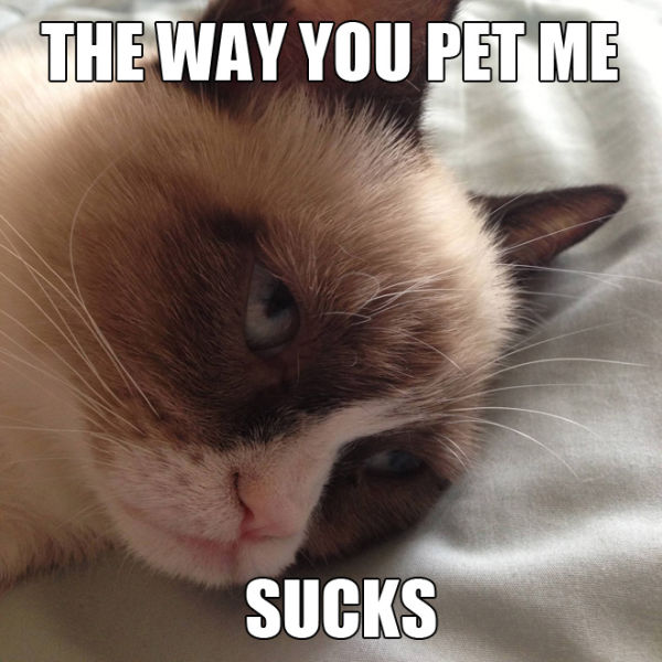 Grumpy Cat Meme The Way You Pet Me Sucks