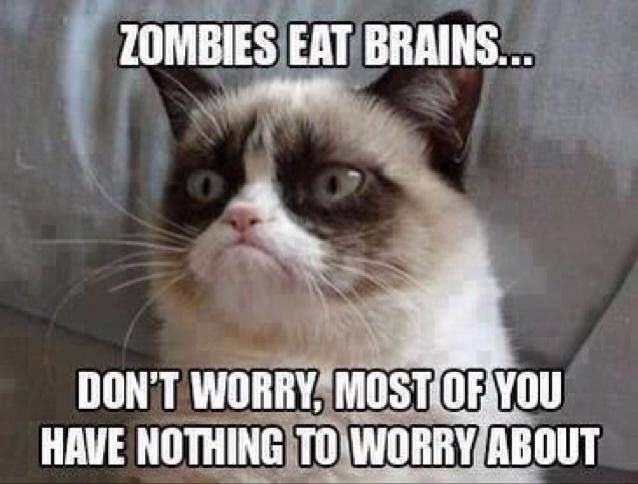 Grumpy Cat Meme Zombies Eat Brains Dont Worry Most Of You Have Nothing To Worry About
