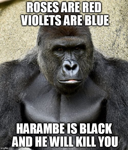 Harambe Memes Roses Are Red Violets Are Blue Harambe Is Black And He Will Kill You
